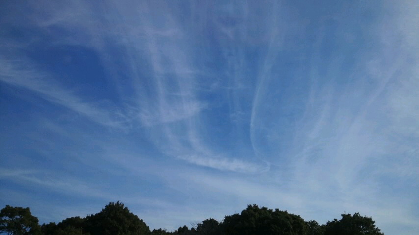f0155808_1572988.jpg
