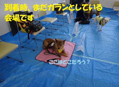 f0121712_16282942.jpg