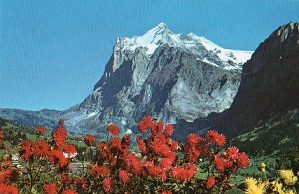 d0019913_2330538.jpg