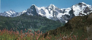 d0019913_23314389.jpg
