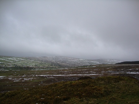 f0217014_1832221.jpg