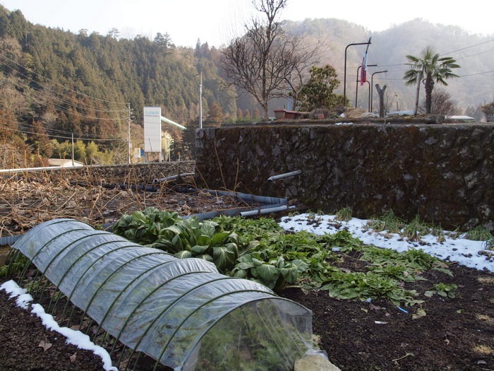 日陰に残った雪_c0116915_23264195.jpg