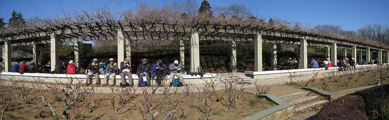 東小金井～神代植物公園_e0117318_1854544.jpg