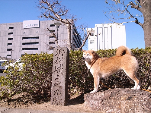 b0225620_1251224.jpg