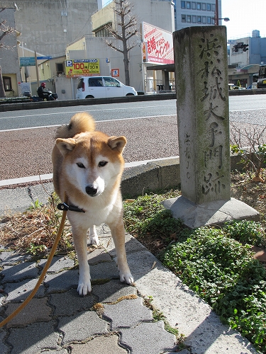 b0225620_12524348.jpg