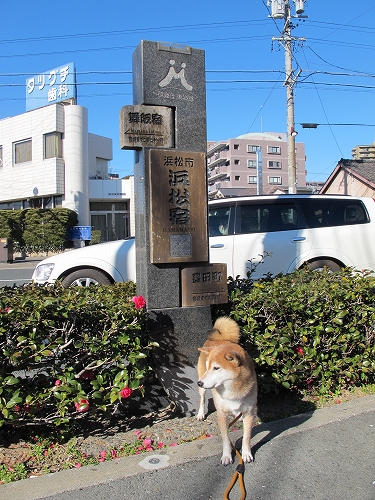 b0225620_12572832.jpg