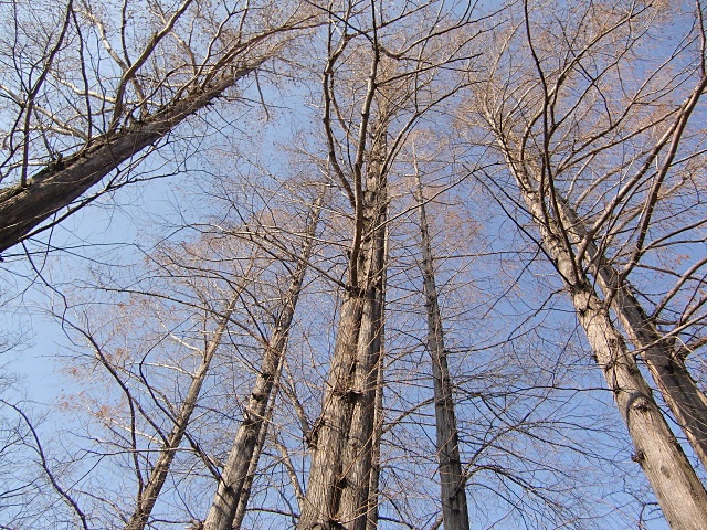 e0234924_11225980.jpg