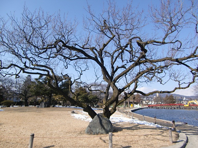 e0234924_11241386.jpg