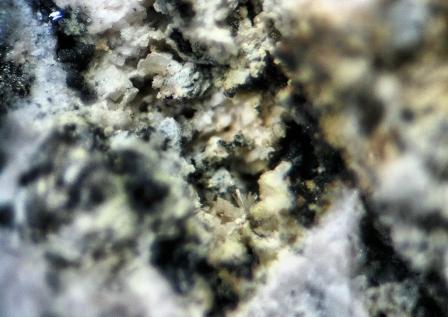 d0045626_033461.jpg