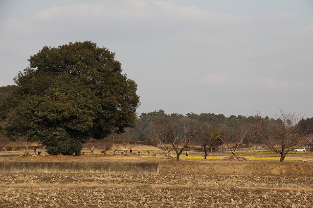 １月２９日　試運転に国分寺へ_a0045932_20162942.jpg