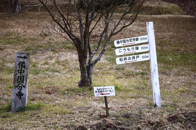 １月２９日　試運転に国分寺へ_a0045932_2095925.jpg