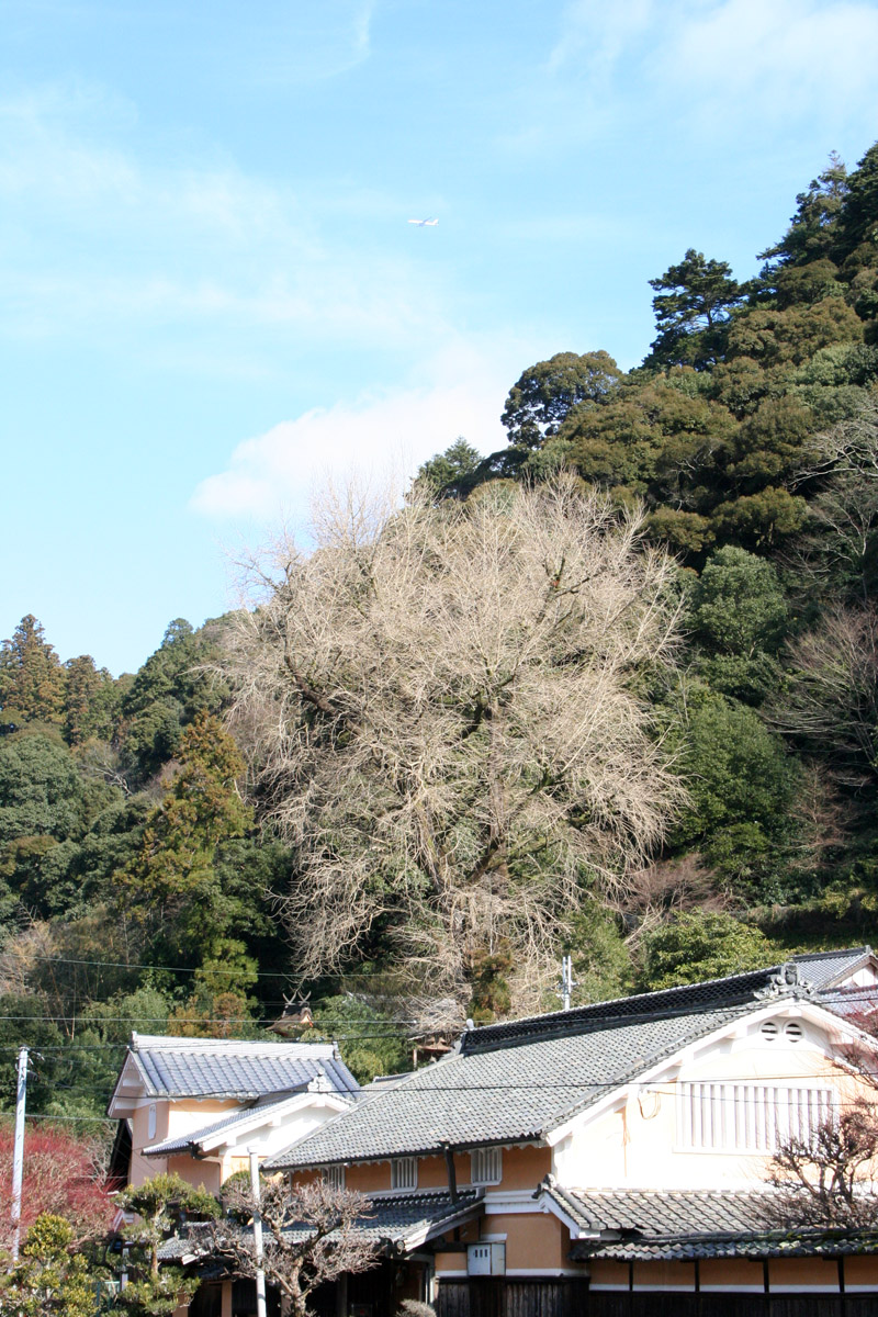 c0073633_2212347.jpg