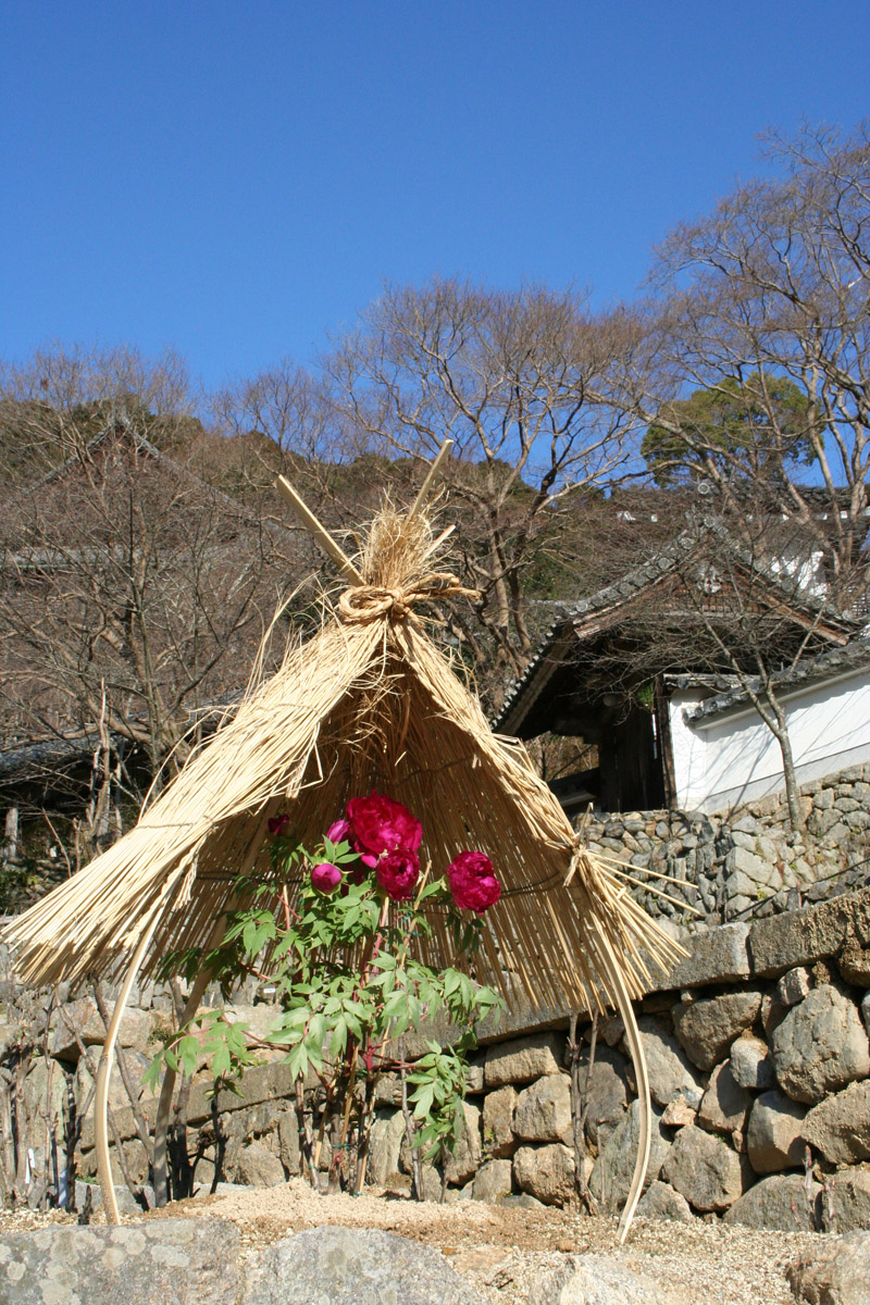c0073633_22135497.jpg
