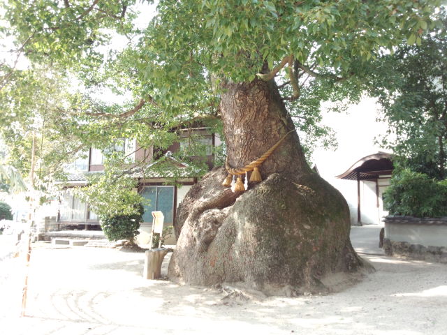 三原市の糸碕神社_f0071840_13113864.jpg