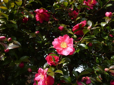 b0217643_22472620.jpg