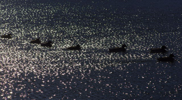 d0186245_22461011.jpg