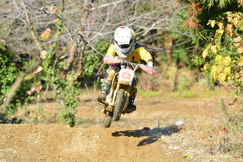 a0045346_20133333.jpg