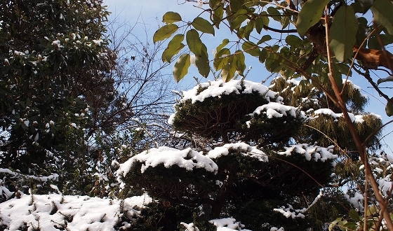 e0228147_0452293.jpg