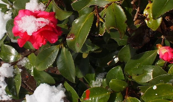 e0228147_045398.jpg