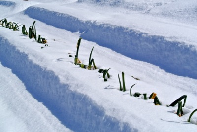 c0063348_73638.jpg