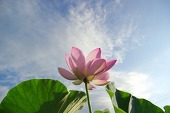 1月レナードヨガ便り_f0168650_22184890.jpg