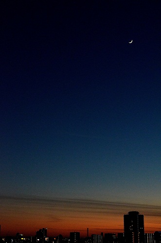 e0284355_23391386.jpg