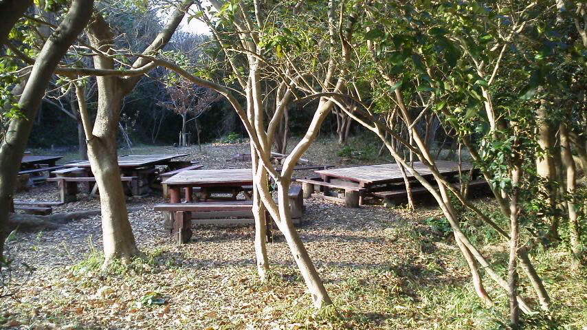 H25年1月度うみべの森を育てる会運営委員会_c0108460_00545.jpg