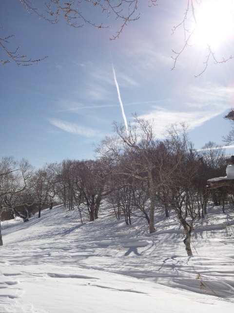 本日、那須高原中の大倉尾根をスノーシュートレッキングです。天気最高の１日でした。_d0043161_18112029.jpg