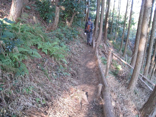 高草山～満観峰（静岡県焼津市）_d0164761_1615966.jpg