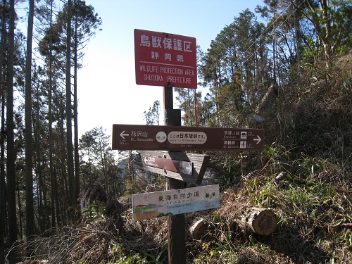 高草山～満観峰（静岡県焼津市）_d0164761_16193267.jpg