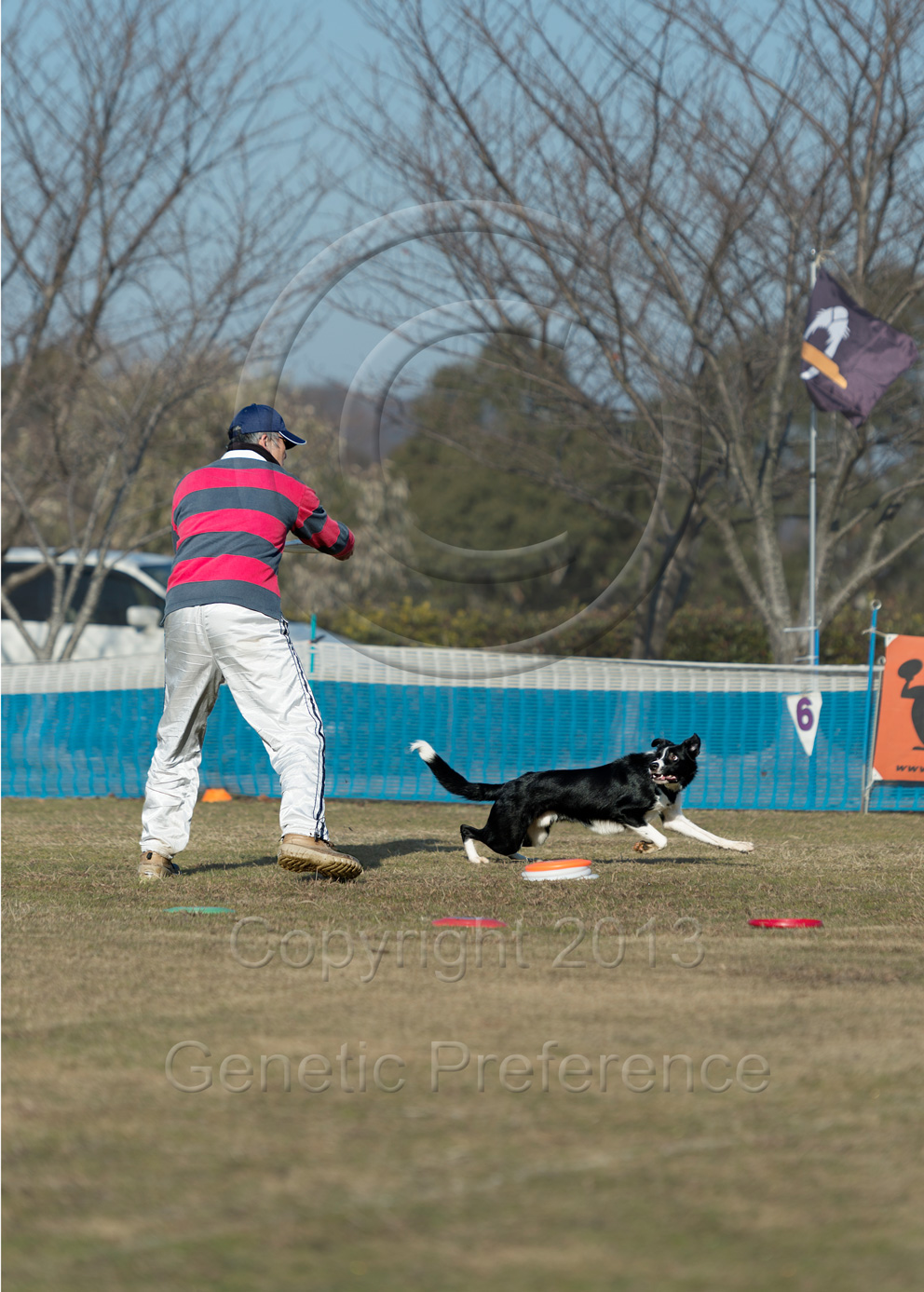 K9 WestDiv.Game 30th 神戸農業公園 Vol.7_a0111162_1803185.jpg