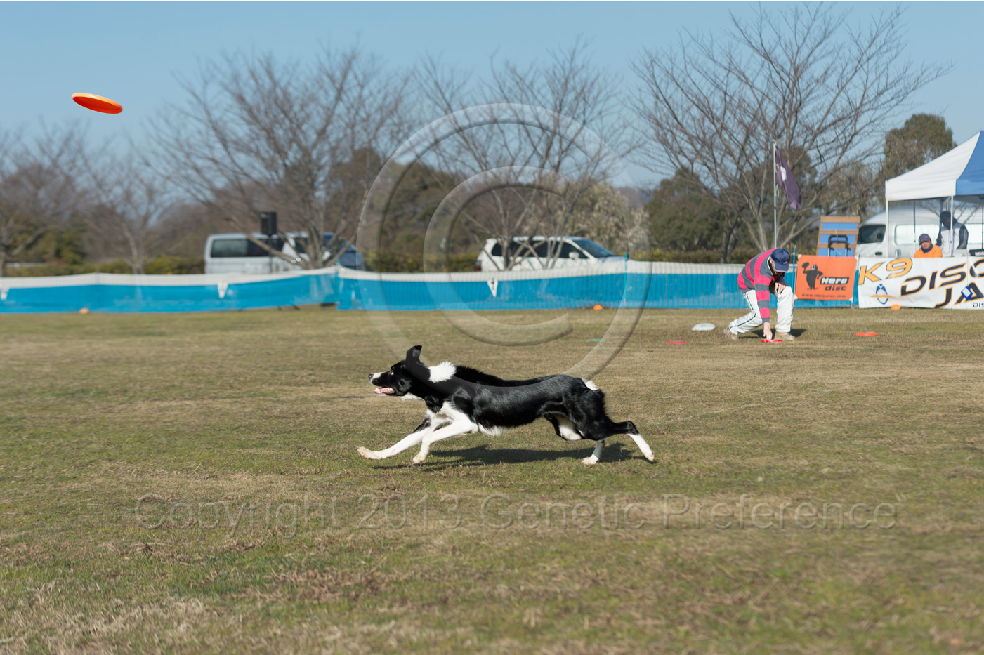 K9 WestDiv.Game 30th 神戸農業公園 Vol.7_a0111162_180465.jpg