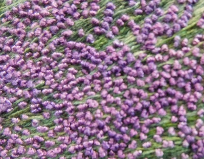 e0225164_82427.jpg