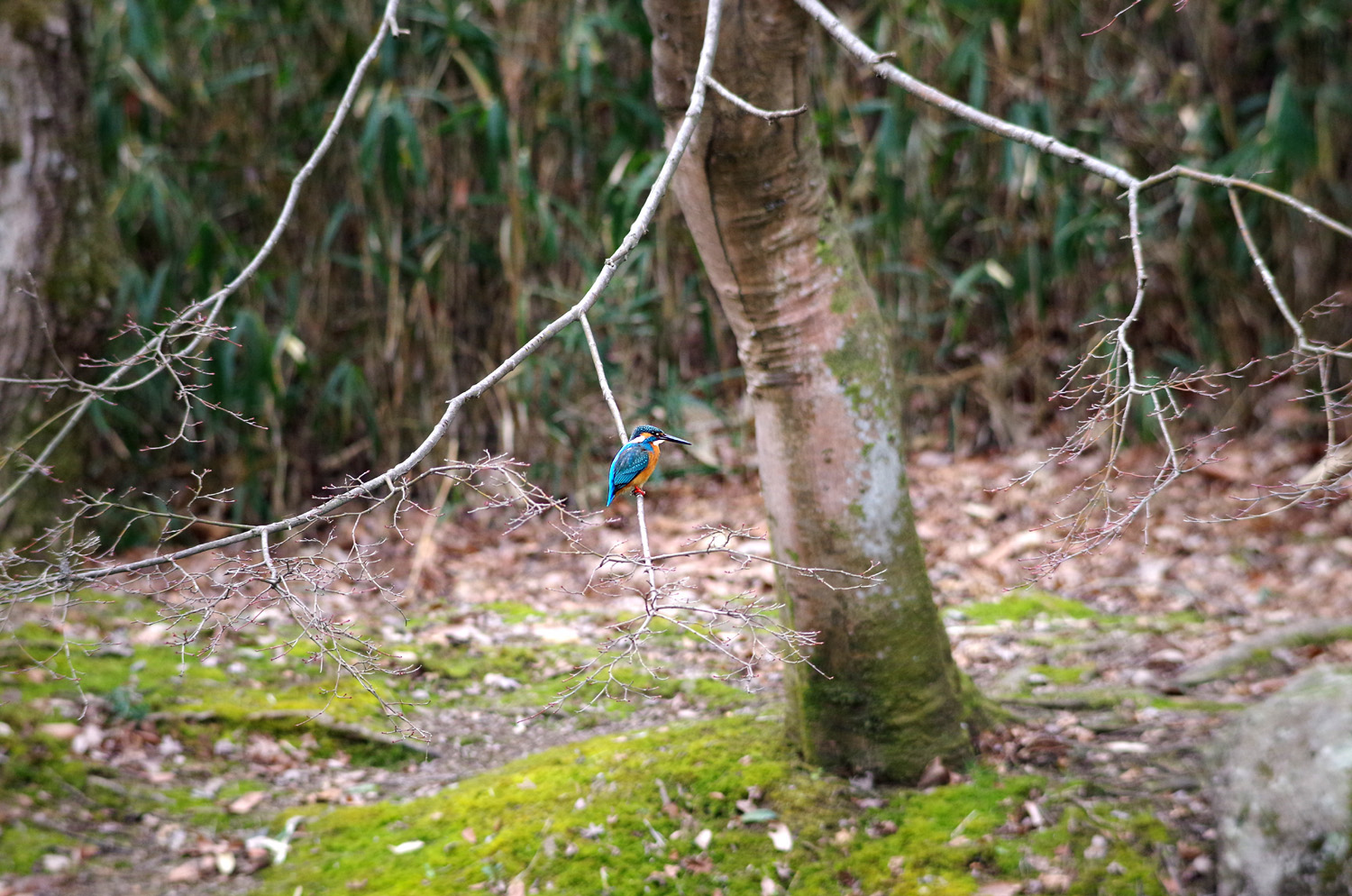 f0215767_1734349.jpg