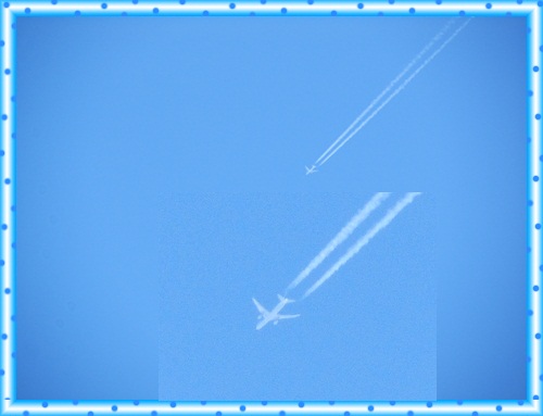 b0149071_1645388.jpg