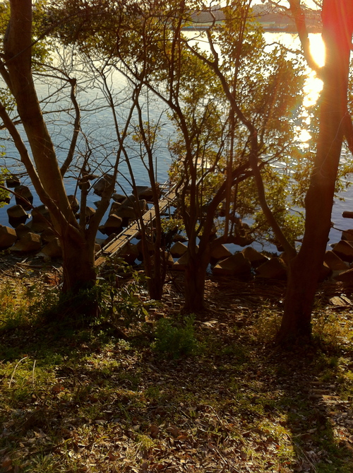 a0120372_011404.jpg