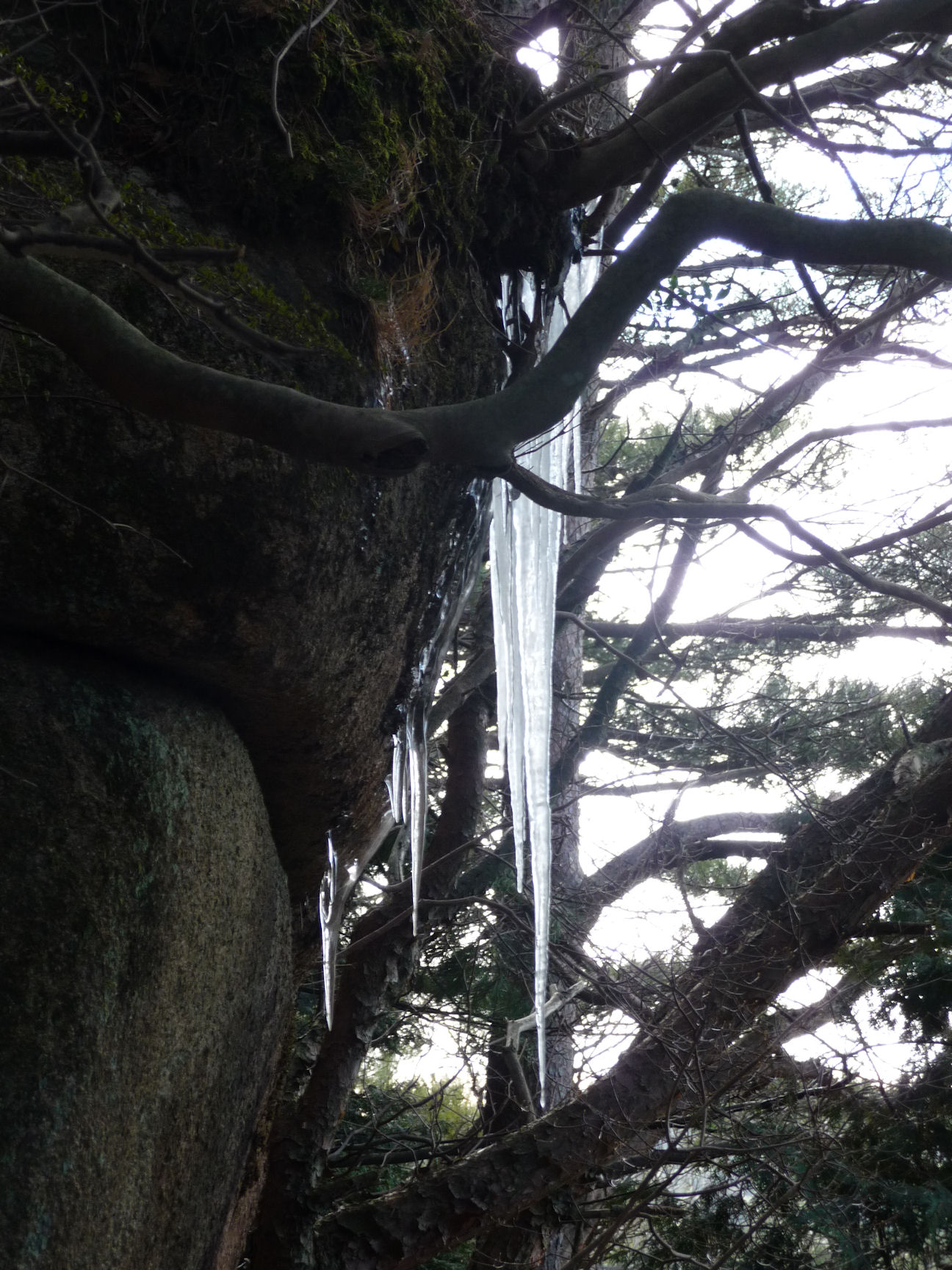 神戸　六甲比女神社_e0165472_0593656.jpg