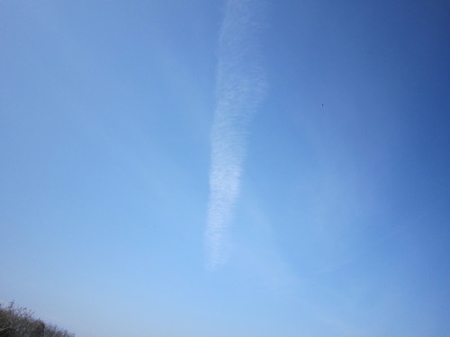 e0254678_1629114.jpg
