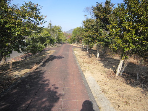 e0254678_16291768.jpg
