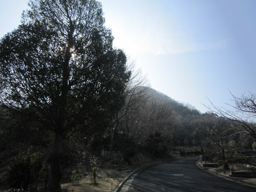 e0254678_16293112.jpg