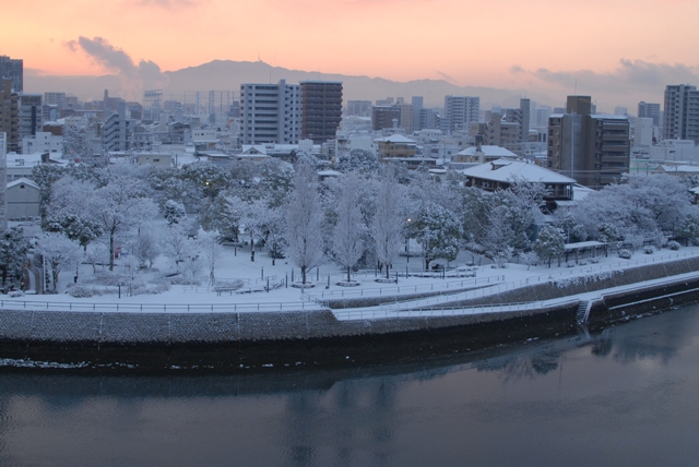 2013年1月28日　朝、雪が積もっていました。_e0034880_21554366.jpg