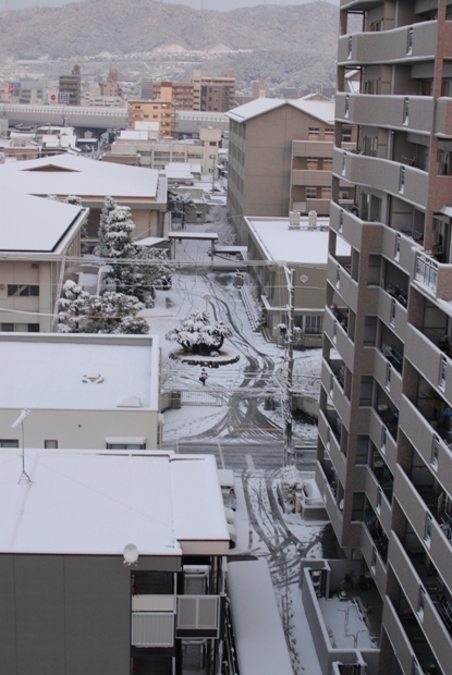 2013年1月28日　朝、雪が積もっていました。_e0034880_21555375.jpg
