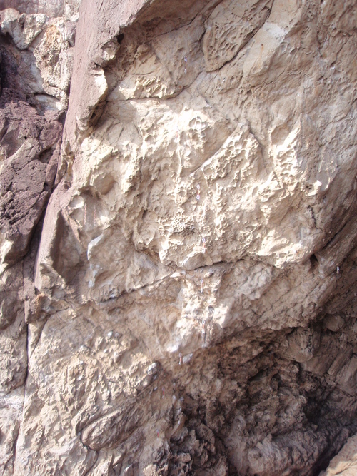 f0223480_20573610.jpg