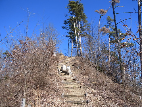 八重山・能岳（その２）　１月２９日（火）_b0136381_19575921.jpg