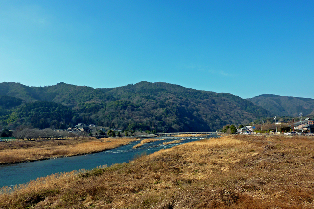 b0137083_17444610.jpg