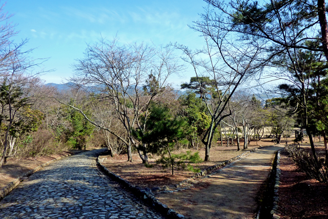 b0137083_1751144.jpg