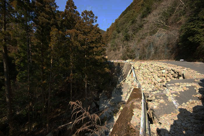 d0045383_100415.jpg
