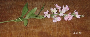 f0215785_19275970.jpg