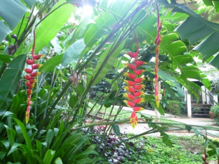 b0197486_96870.jpg