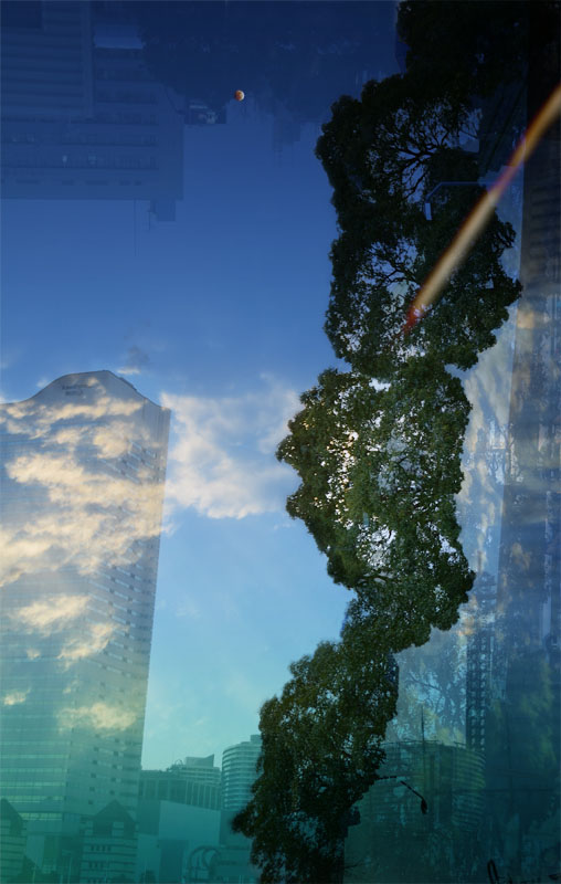 f0018492_8245765.jpg